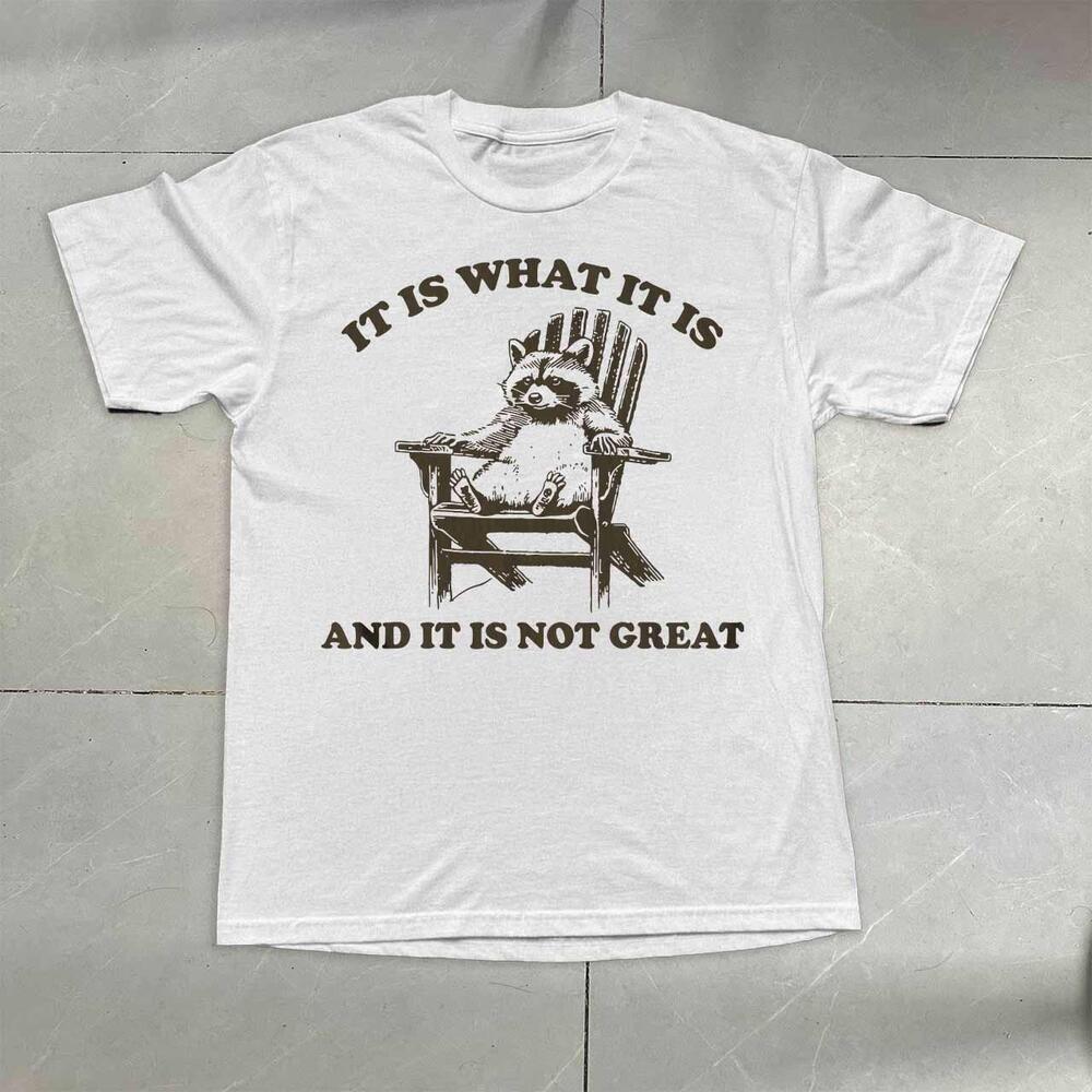 What Is It Funny Racoon T-Shirt
